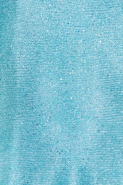Petite Aqua Sequin Top
